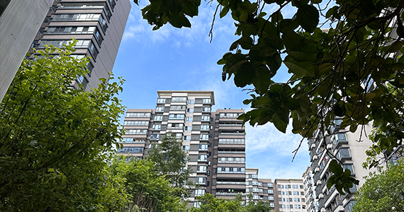 免费SSL证书3个月